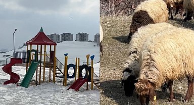 40 kilometre arayla iki mevsim: Yüksekova'da kar, Esendere'de bahar mesaisi