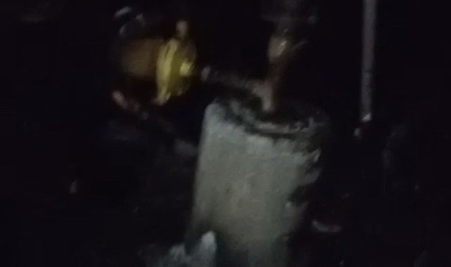 Adana'da 40 güvercin yangında telef oldu