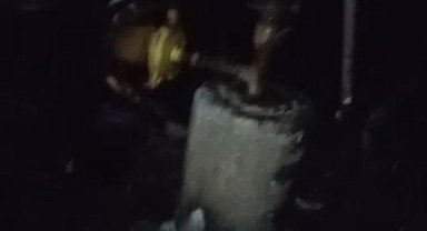 Adana'da 40 güvercin yangında telef oldu