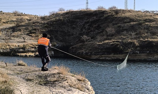 Ağ ile avlanma yasağına uymayan şahsı jandarma yakaladı