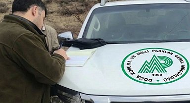 Akseki'de kaçak avcılığa 1 milyon TL'yi aşan ceza