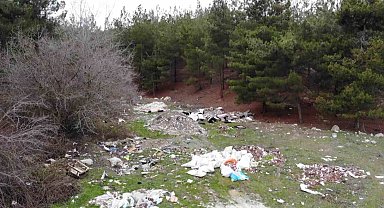 Amasya'da orman çöplüğe dönüştü: "Bu toprakları piyangodan kazanmadık"