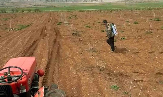 Araban'da Antep fıstığı tarlalarında yabancı otlarla ilaçlı mücadele