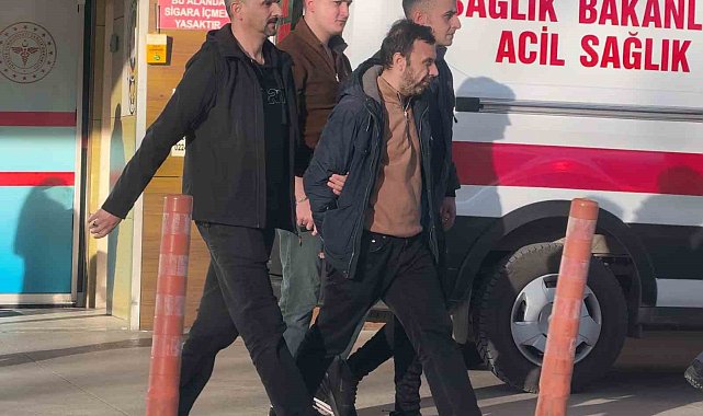 Araç faresi yakayı ele verdi