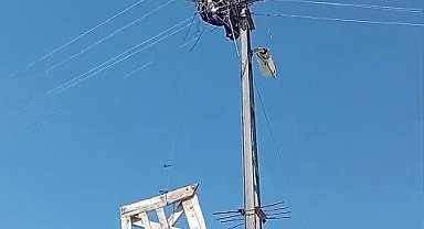 Aras Elektrik'ten doğa dostu adım: Fırtınada zarar gören leylek yuvaları yeniden yerine yerleştirildi