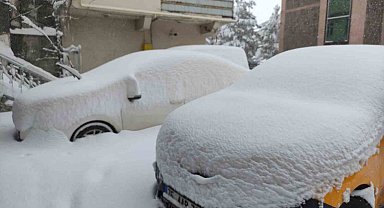 Ardahan'da kar yağışı yeniden başladı