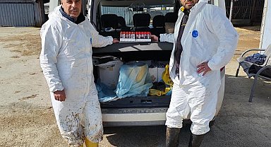 Ari işletmede tüberküloz ve brusella testi yapıldı