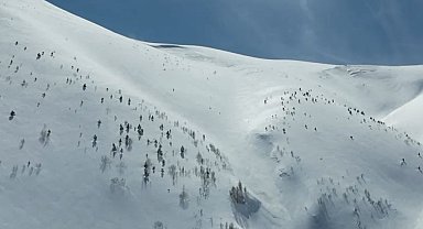 Artvin'de çığ faciası: Kayıp kişi için çalışmalar 86 gündür sürüyor