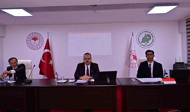 Aydın'da sahipsiz hayvanlara yönelik çalışmalar masaya yatırıldı