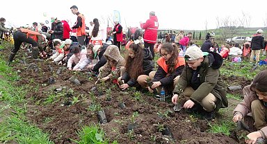 Bafra'da minik eller 3 bin fidanı toprakla buluşturdu