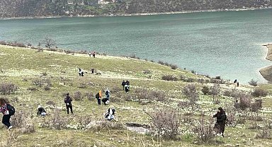 Bahar çiçeği nergisler doğaseverlerin ilgi odağı oldu