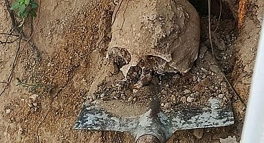 Bahçede yapılan kazıda insan kafatası ve kemikler bulundu