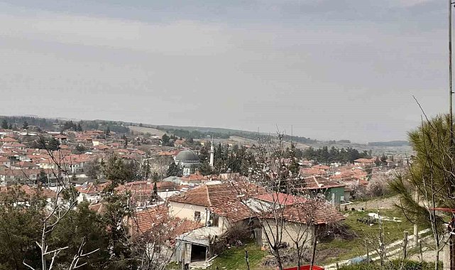 Baklan'da milyonlarca yıllık deniz yıldızı fosili bulundu
