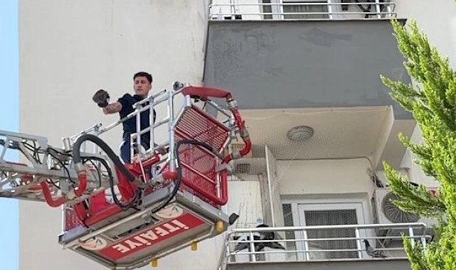 Balkon filesine takılan güvercini itfaiye kurtardı