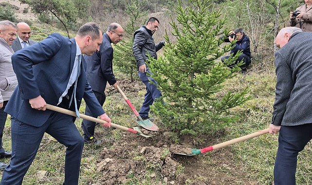 Bartın'da hükümlüler fidan dikti