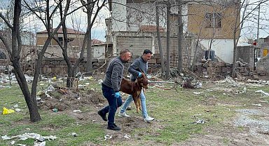 Başıboş köpeğin saldırdığı 3 yaşındaki çocuk ağır yaralandı