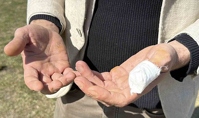 Başıboş pitbull, vatandaş ile köpeğine dehşeti yaşattı