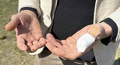 Başıboş pitbull, vatandaş ile köpeğine dehşeti yaşattı