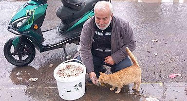 Bayramda sokak hayvanlarını unutmadı