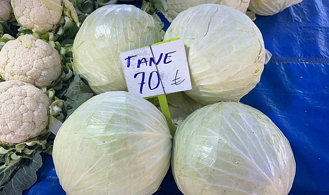 Beyaz lahanada ne çiftçi kazandı ne de tüketici ucuza yedi
