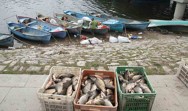 Beyşehir Gölü'nde av yasağı başlıyor