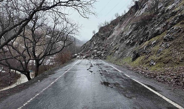 Beytüşşebap'ta heyelan nedeniyle 11 yerin yolu ulaşıma kapandı