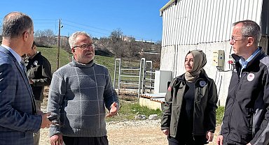 Bilecik Pazaryeri'nde tarım ve hayvancılık faaliyetlerine Müdür Ayvalık'tan yerinde inceleme