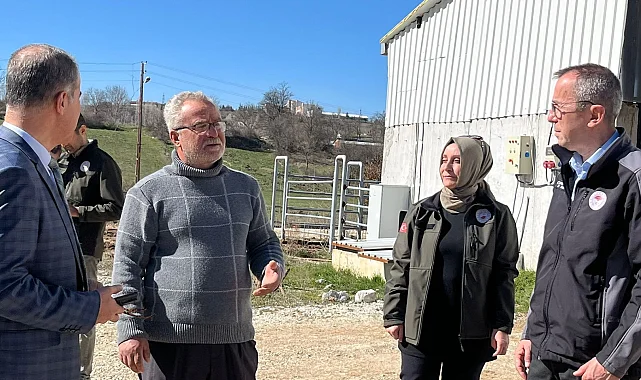 Bilecik Pazaryeri'nde tarım ve hayvancılık faaliyetlerine Müdür Ayvalık'tan yerinde inceleme