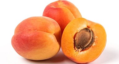 Bitkisel ürünlerde en yüksek yeterlilik kayısı ve zerdalide