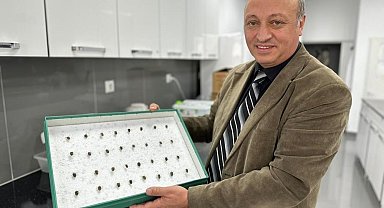 Böcekler cinayetleri aydınlatıyor: Ölüm zamanı ve olay yeri entomolojiyle belirlenebiliyor