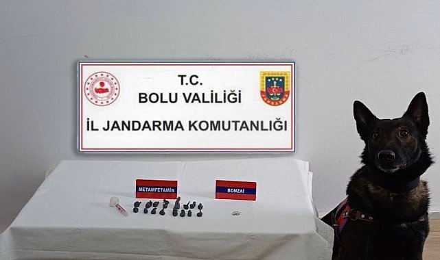 Bolu'da uyuşturucu operasyonu