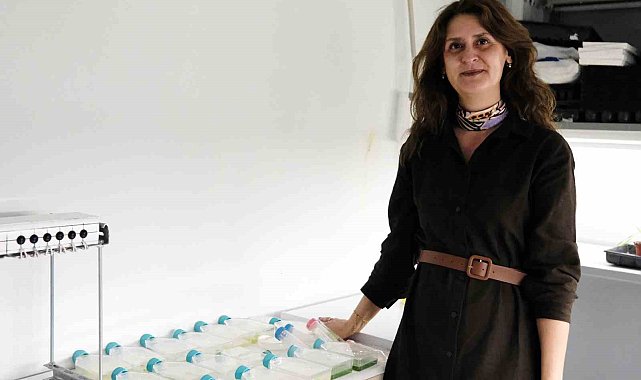 BŞEÜ akademik alanda önemli bir başarıya imza attı