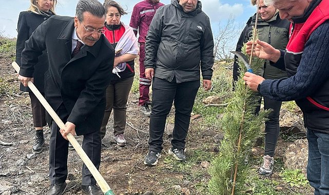 Burhaniye'de 315 fıstıkçamı fidanı toprakla buluşturuldu