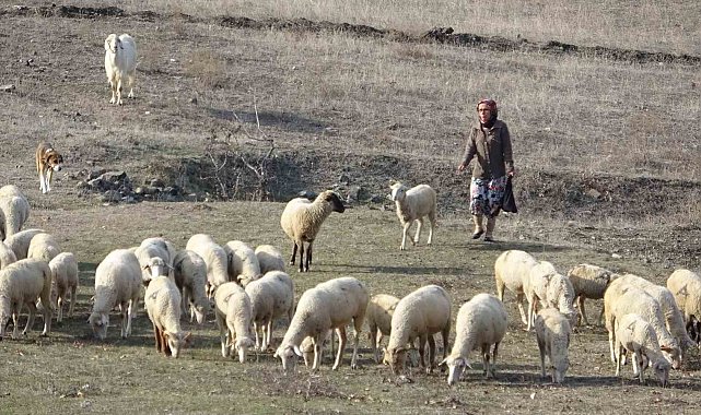 Bursa'da boğazından bıçaklanarak öldürülen kadının eski görüntüleri ortaya çıktı
