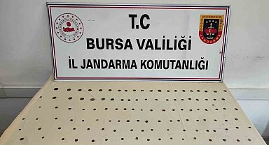 Bursa'da tarihi eser operasyonu: 137 adet sikke ele geçirildi