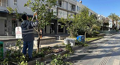 Büyükşehir'den Kemer'de peyzaj düzenlenesi