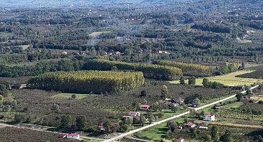 Çarşamba Ovası meyvede zirvede