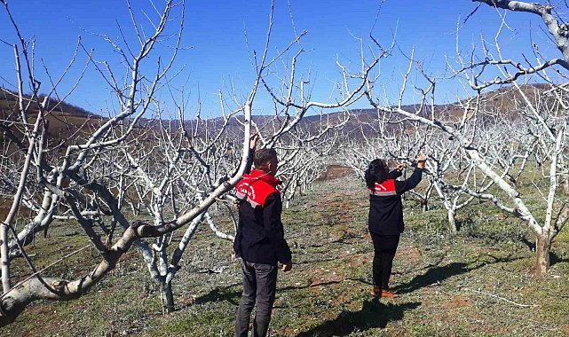 Çiftçilere bordo bulamacı uyarısı