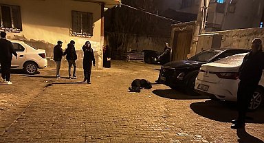 Cizre'de silahlı saldırgan tutuklandı