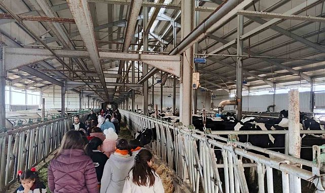 Çocuklar, tarımsal üretimi yerinde inceledi