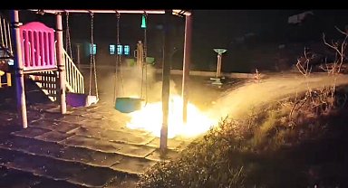 Çocukların yaktığı ateş parkı alev topuna çevirdi