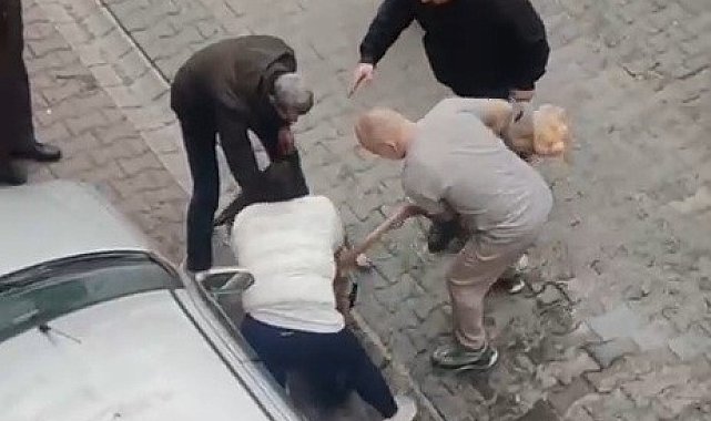Çorlu'da pitbull dehşetinde yeni görüntüler: Köpek sahibi müdahaleye engel oldu, gerilim büyüdü