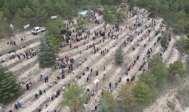 Çorum'da yüzlerce fidan toprakla buluştu