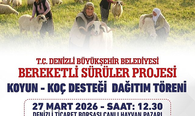 Denizli Büyükşehir 582 üreticiye 1200 adet koyun ve koç dağıtacak