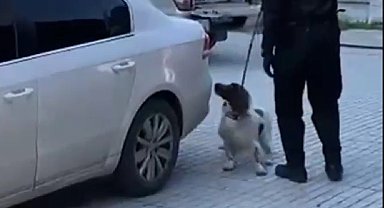 Denizli'de narkotik operasyonunda 6 kilo esrar ele geçirildi