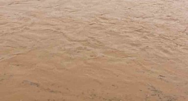 Diyarbakır'da sağanak nedeni ile onlarca koyun telef oldu