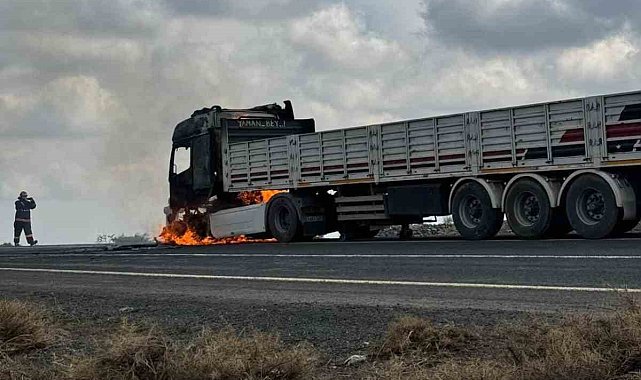 Diyarbakır'da seyir halindeki tır alev aldı