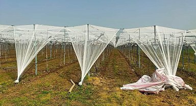 Dolu korkusuna fileli önlem