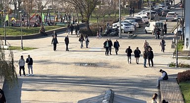 Domuz gribi vakalarında artış