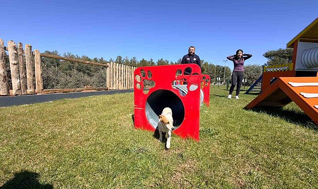 Duacı Mahallesi'nde Pati Park hizmet açıldı